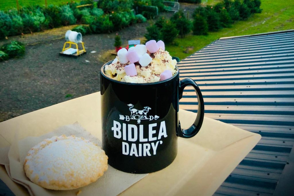 Bidlea dairy cafe in cheshire